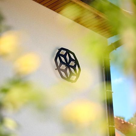 Na Trati Pension Crna na Koroskem 外观 照片